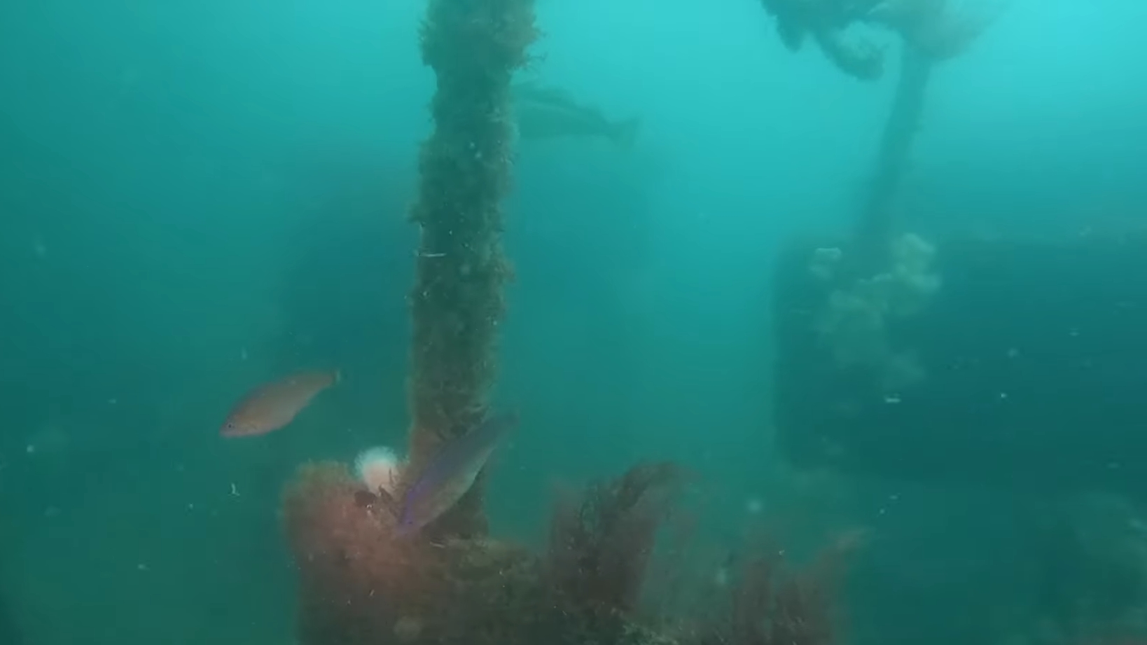 Life in the Norman Wrecks. any  hide traces of history, others service  science