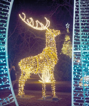 Polamp i wszystko jasne. Giżycki biznes rodzinny