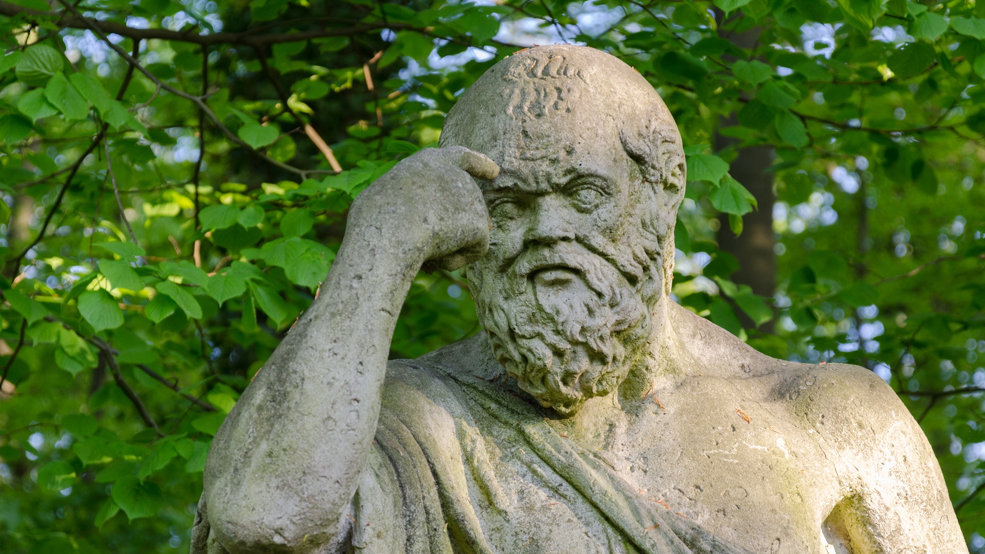 Linie papilarne Wenus z Milo. „Najmądrzejszy. Biografia Sokratesa”