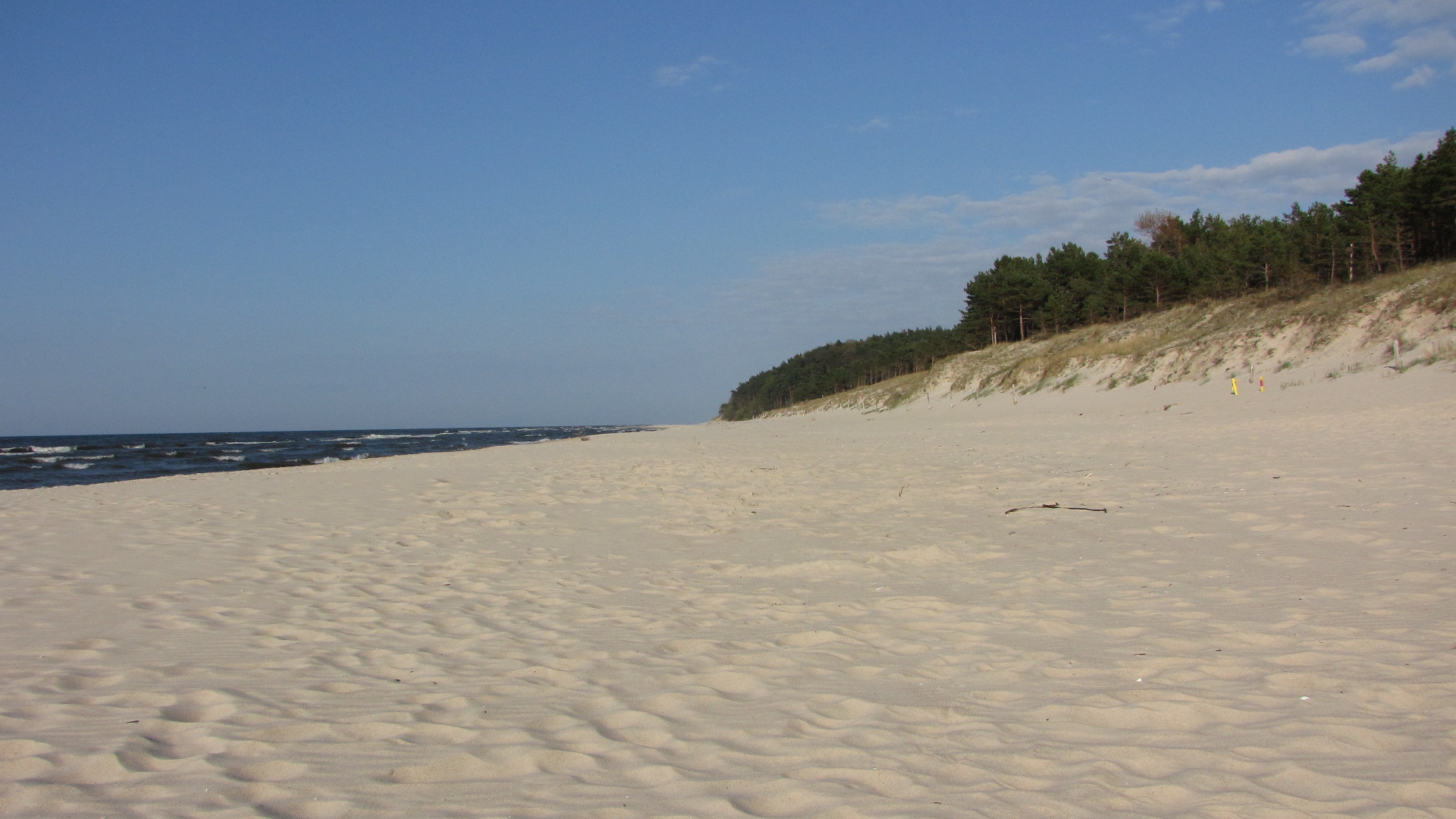 Martwy wieloryb wyrzucony na plażę w Wisełce. Sanepid bada wodę