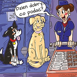 Nowa era podróży z psami. Włoski samolot przewozi duże psy w kabinie