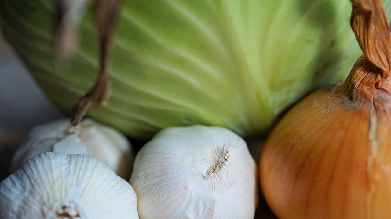 Garnek pełen smaku. Francuska klasyka zimowej kuchni