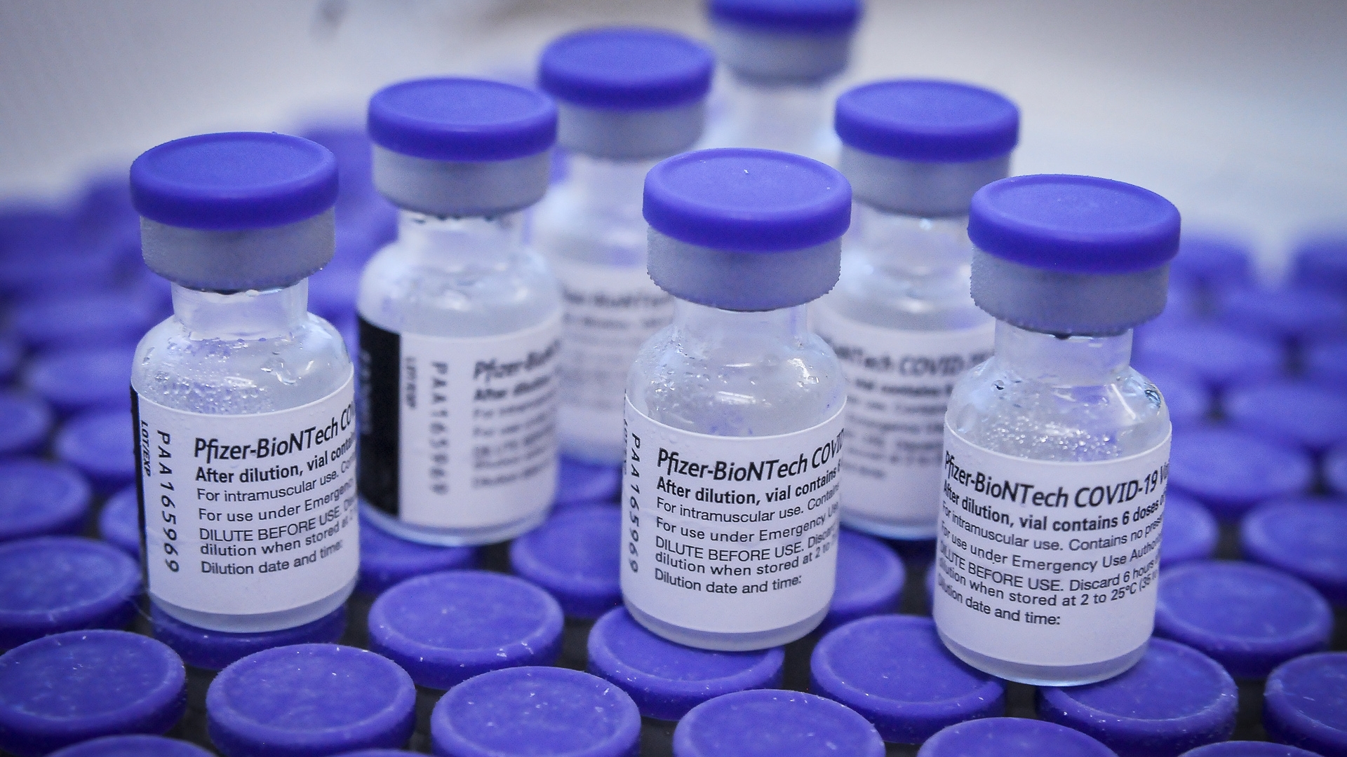 Polska kontra Pfizer. 5,5 mld złotych do zapłaty!