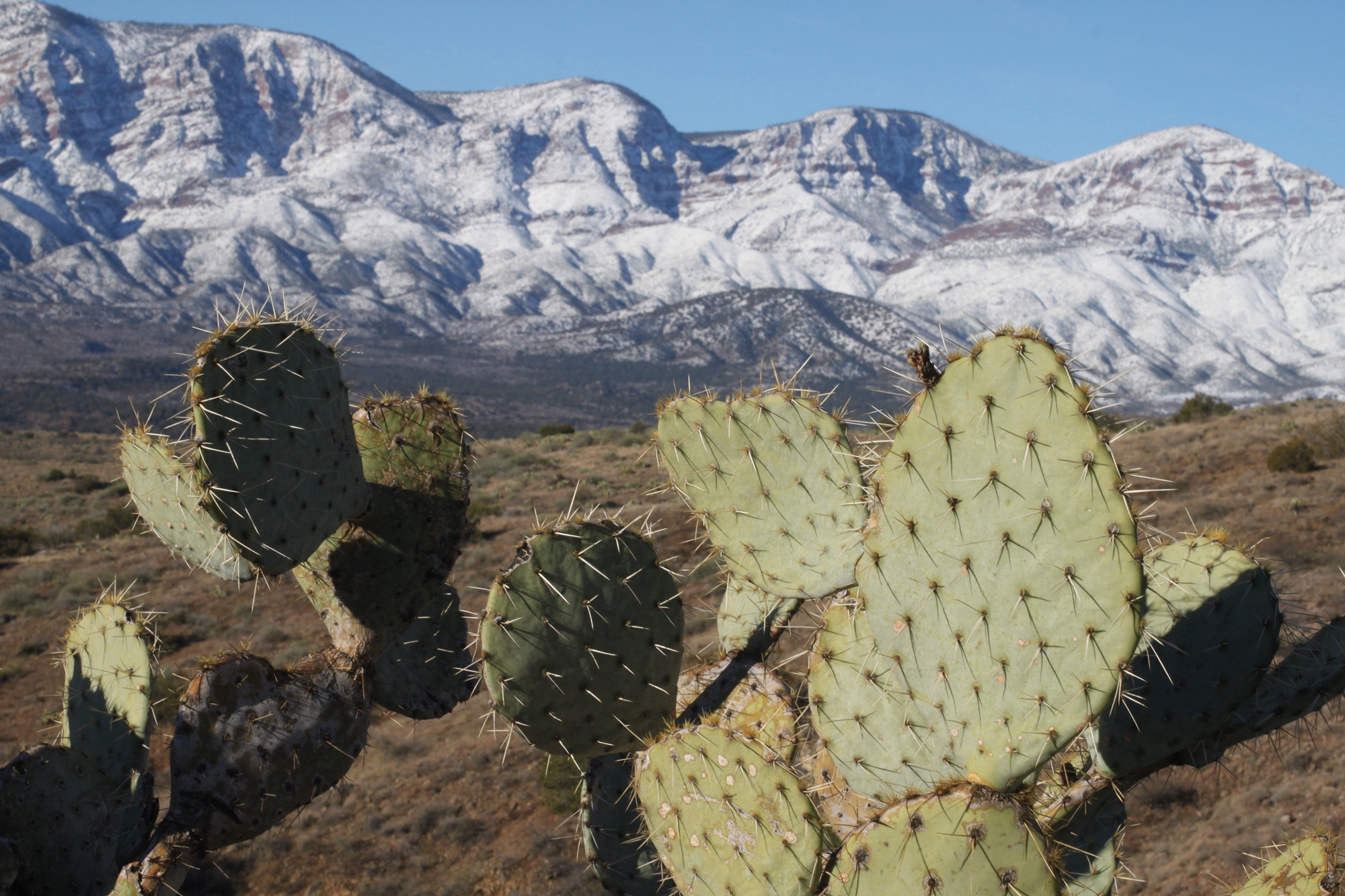Dbałość o naturę. Bądźmy odpowiedzialni