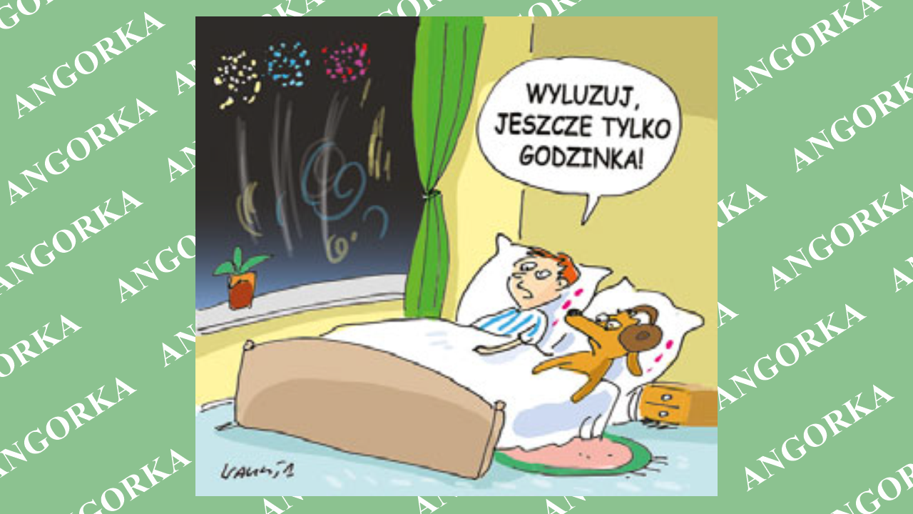 Jak chronić zwierzęta przed hukiem fajerwerków?