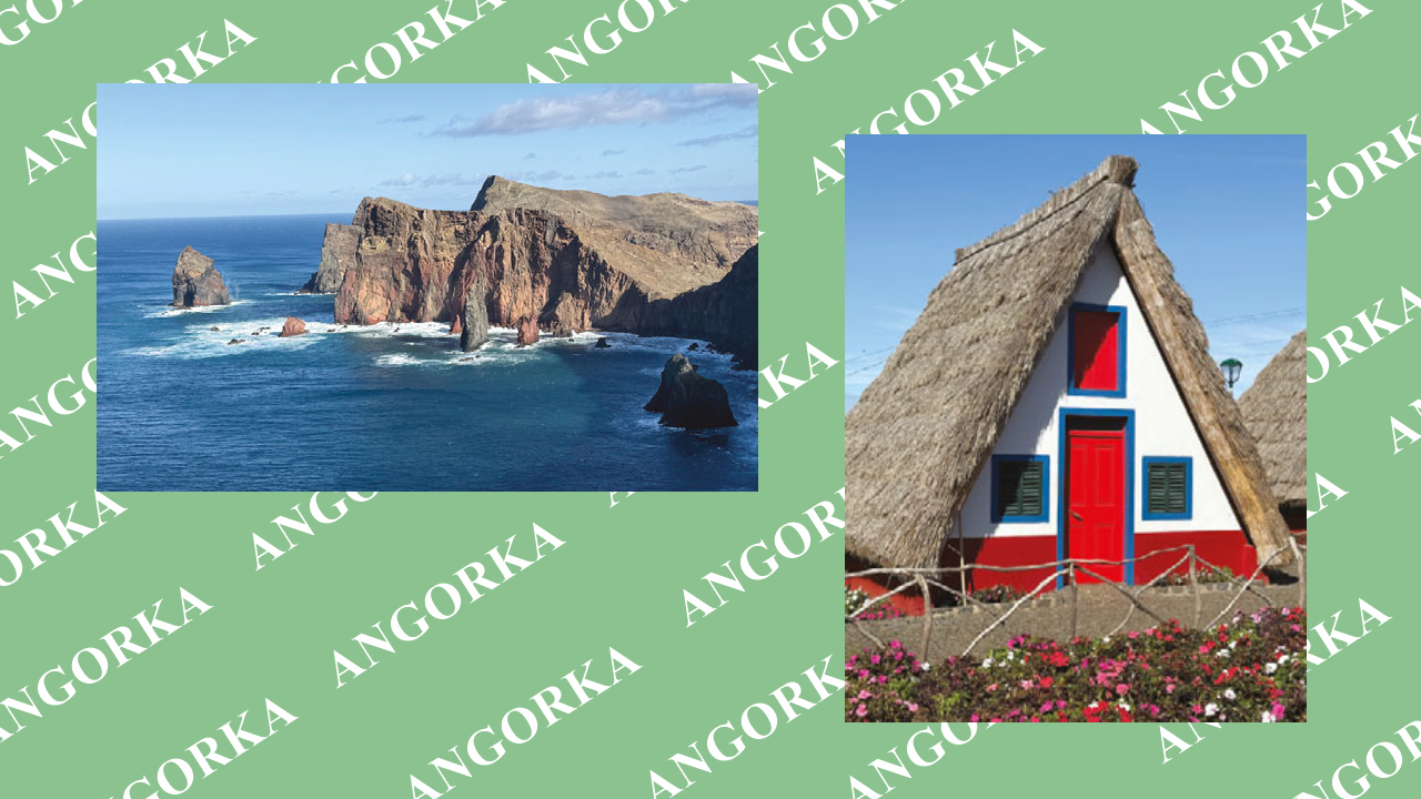 Kazik w podróży. Wycieczka po bezdrożach