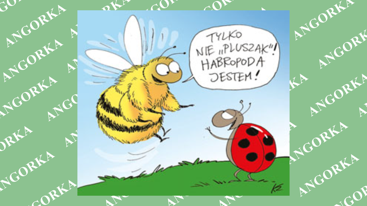 Ponad 70 nowych gatunków odkrytych w 2025 roku