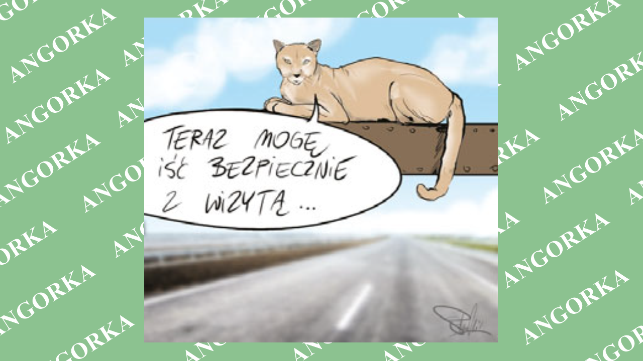 W Kalifornii powstaje największy na świecie most dla dzikich zwierząt