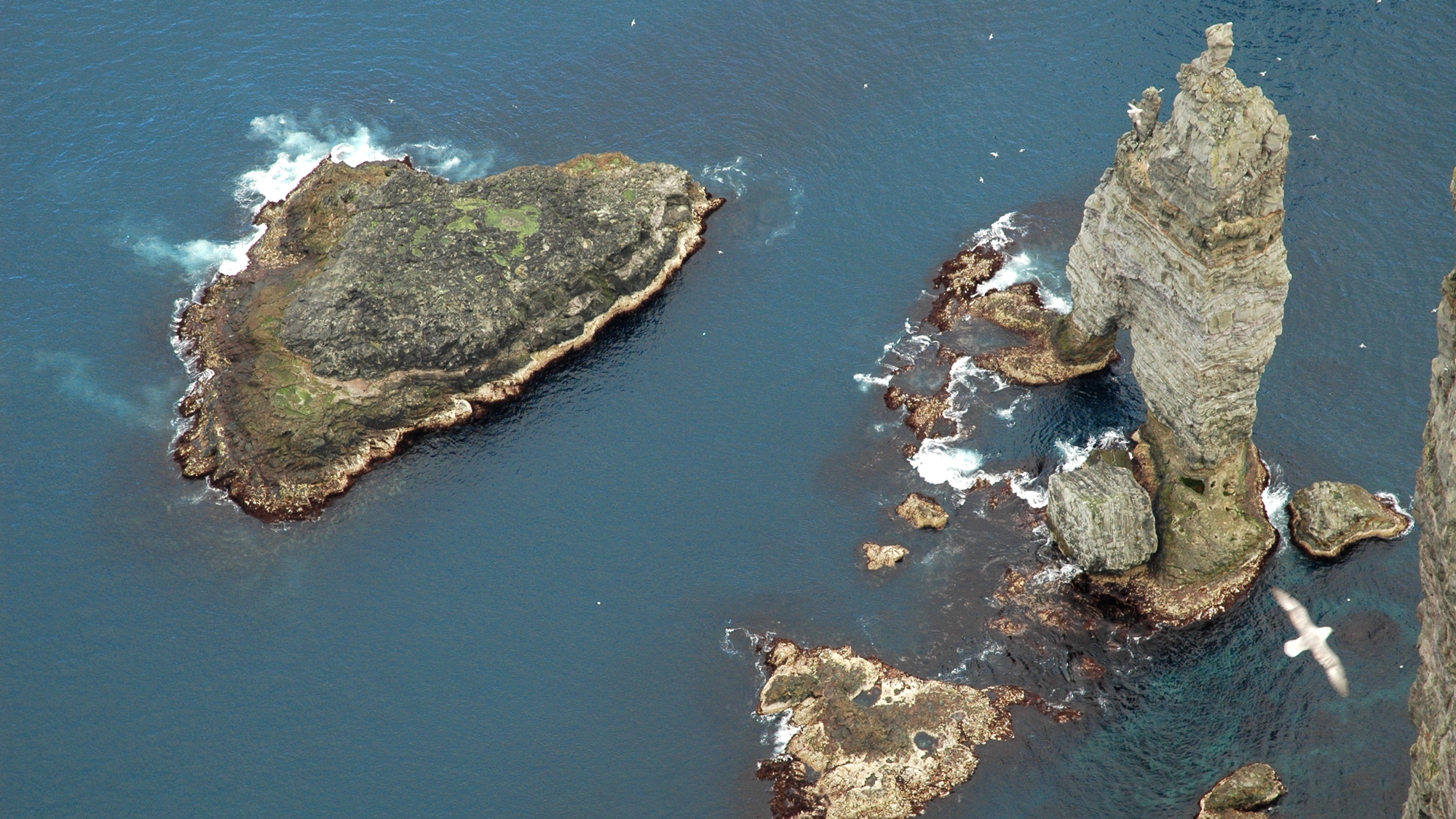 Według Mroziewicza. Guliwer na Diego Garcia