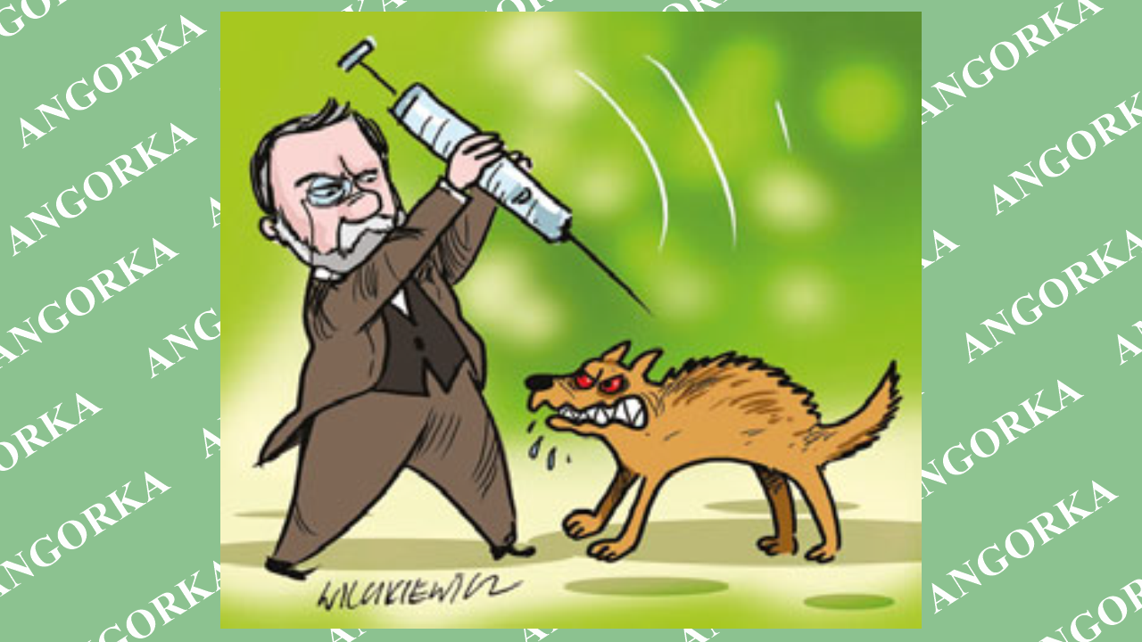 Wścieklizna wciąż zabija. 60 tysięcy ofiar rocznie na świecie