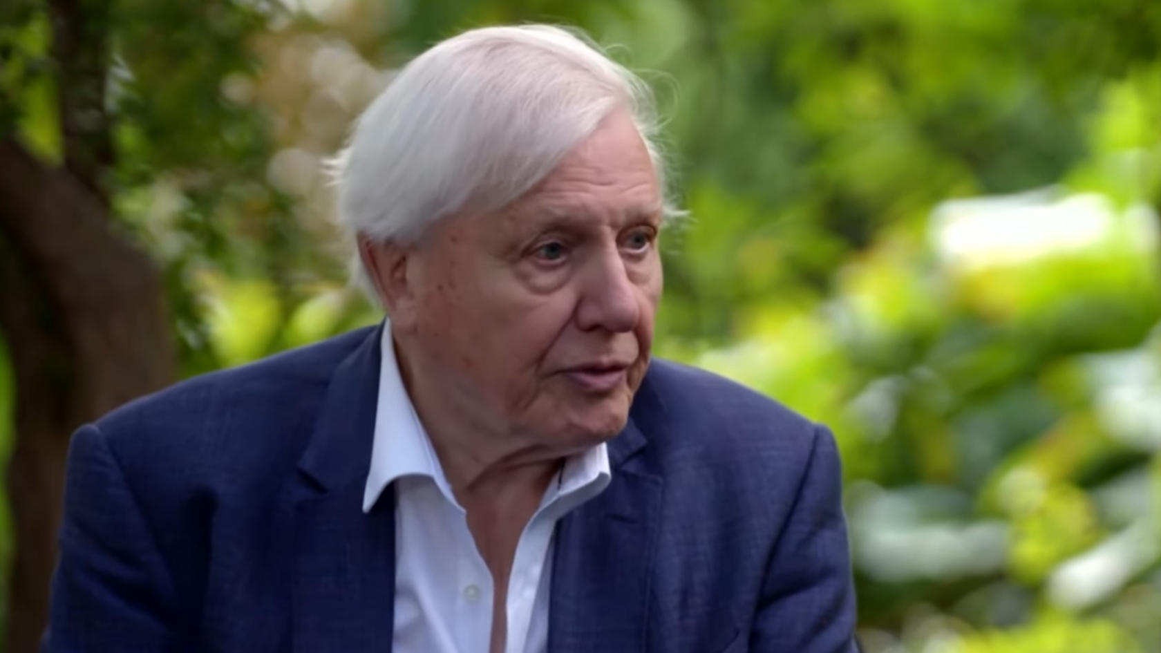 8 maja sir David Attenborough skończył 100 lat. Został legendą dokumentu przyrodniczego