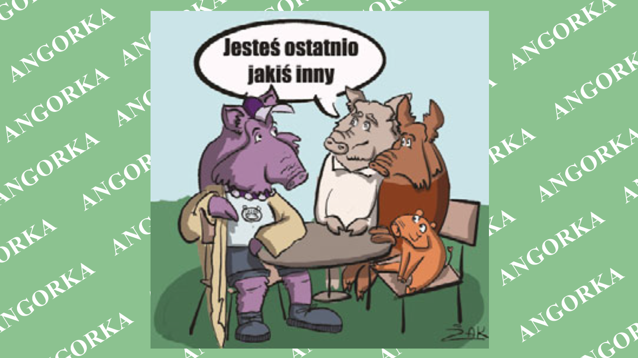 Miasto zmienia nie tylko ludzi. Naukowcy odkryli zaskakujący trend w świecie zwierząt