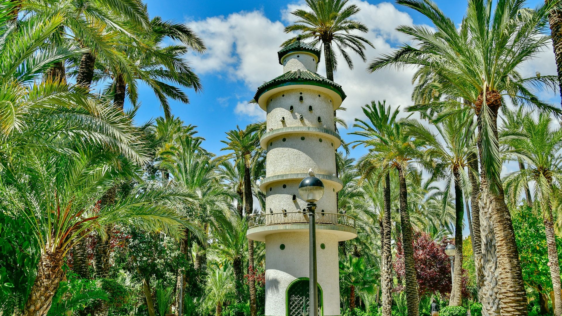Elche – miasto, w którym rośnie największy gaj palmowy w Europie